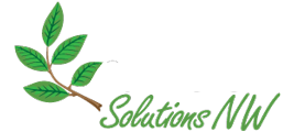 Gutter & Roof Solutions NW Auburn, WA